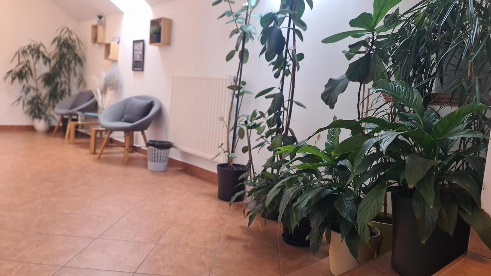 Brne Rooms Postojna Exterior foto